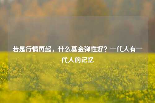 若是行情再起，什么基金弹性好？一代人有一代人的记忆