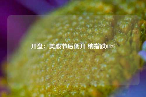 开盘：美股节后低开 纳指跌0.2%