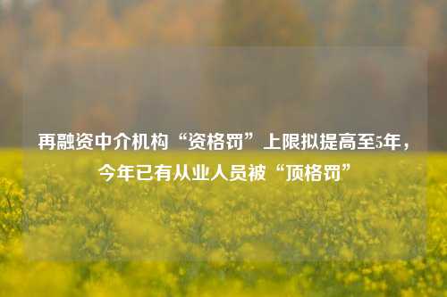 再融资中介机构“资格罚”上限拟提高至5年，今年已有从业人员被“顶格罚”