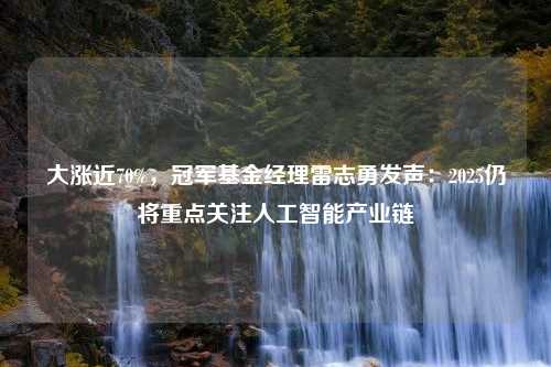 大涨近70%，冠军基金经理雷志勇发声：2025仍将重点关注人工智能产业链