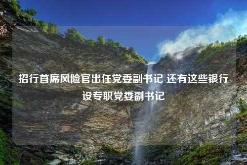 招行首席风险官出任党委副书记 还有这些银行设专职党委副书记