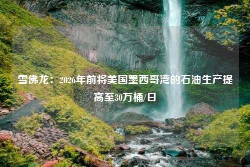 雪佛龙：2026年前将美国墨西哥湾的石油生产提高至30万桶/日