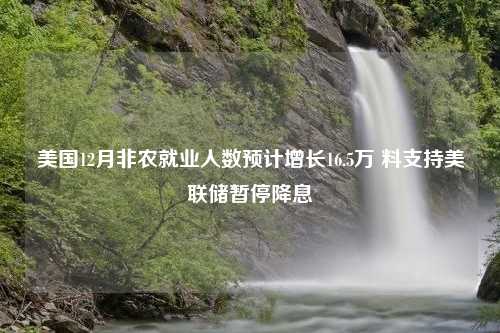 美国12月非农就业人数预计增长16.5万 料支持美联储暂停降息